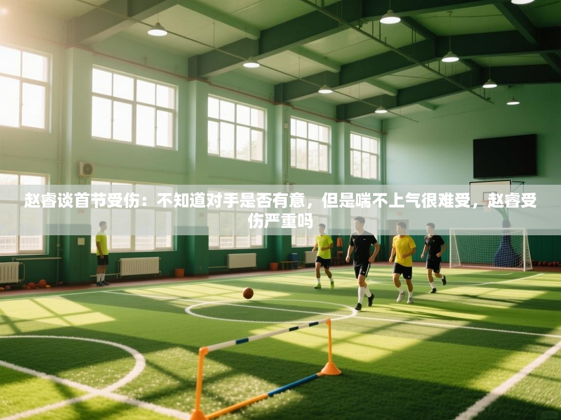 赵睿谈首节受伤:不知道对手是否有意,但是喘不上气很难受,赵睿受伤严重吗 第1张