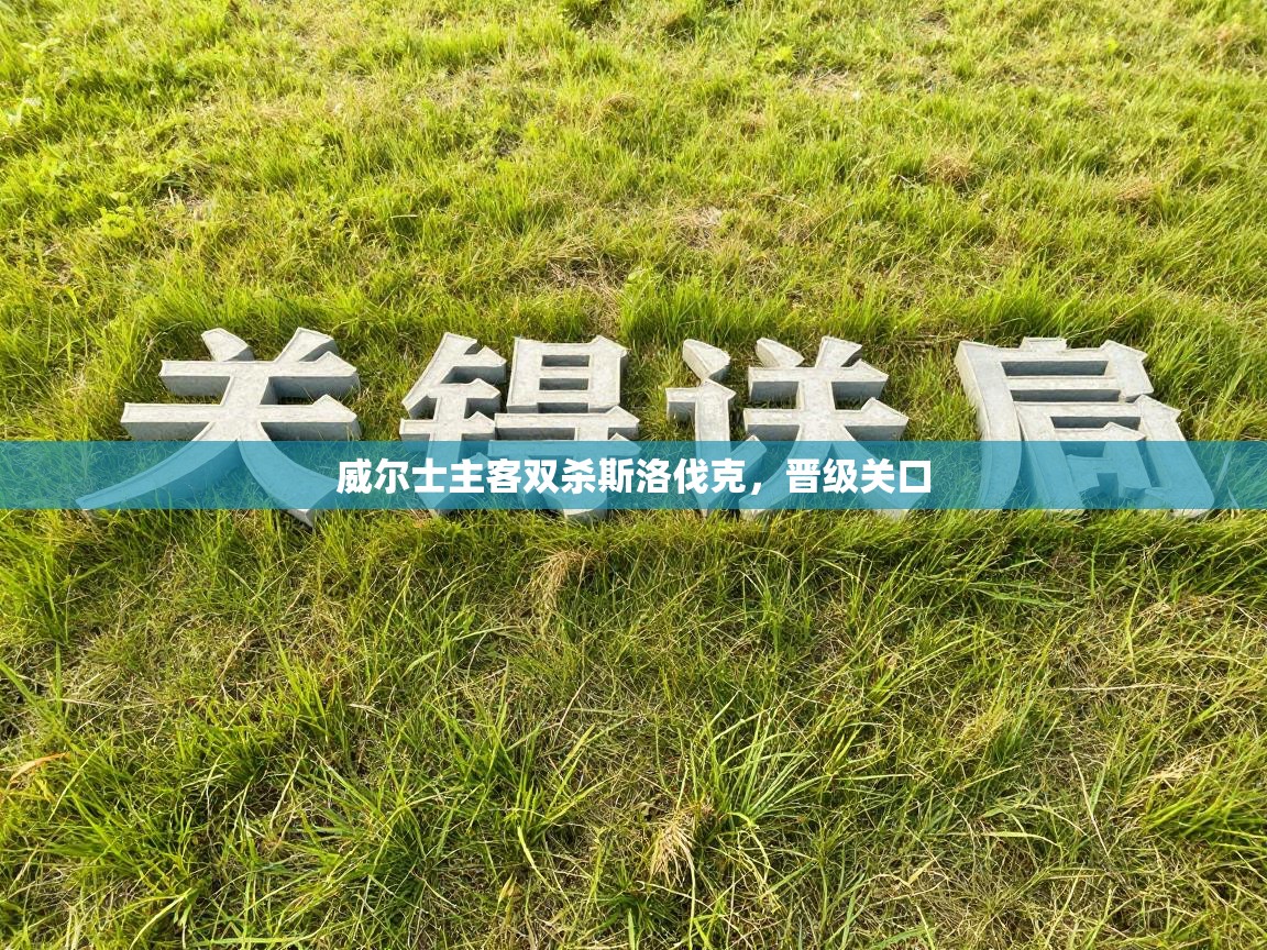 威尔士主客双杀斯洛伐克，晋级关口