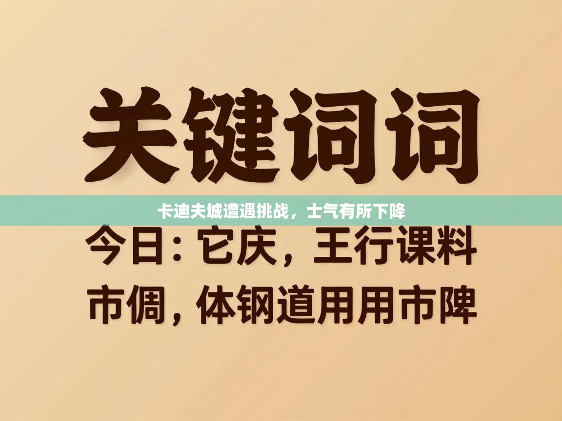 卡迪夫城遭遇挑战，士气有所下降  第2张